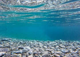 Underwater Photography of Clear Water