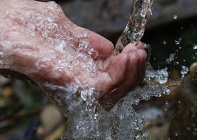 Person Cleaning Hands under Water